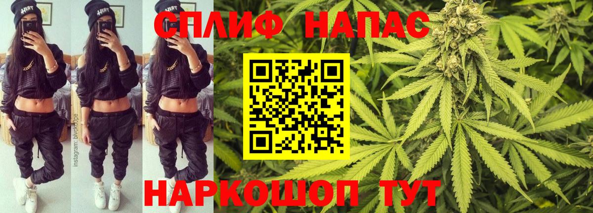 Шишки марихуана марихуана  Вход с VPN  Марихуана марихуана  Марихуана семена  Кировск 